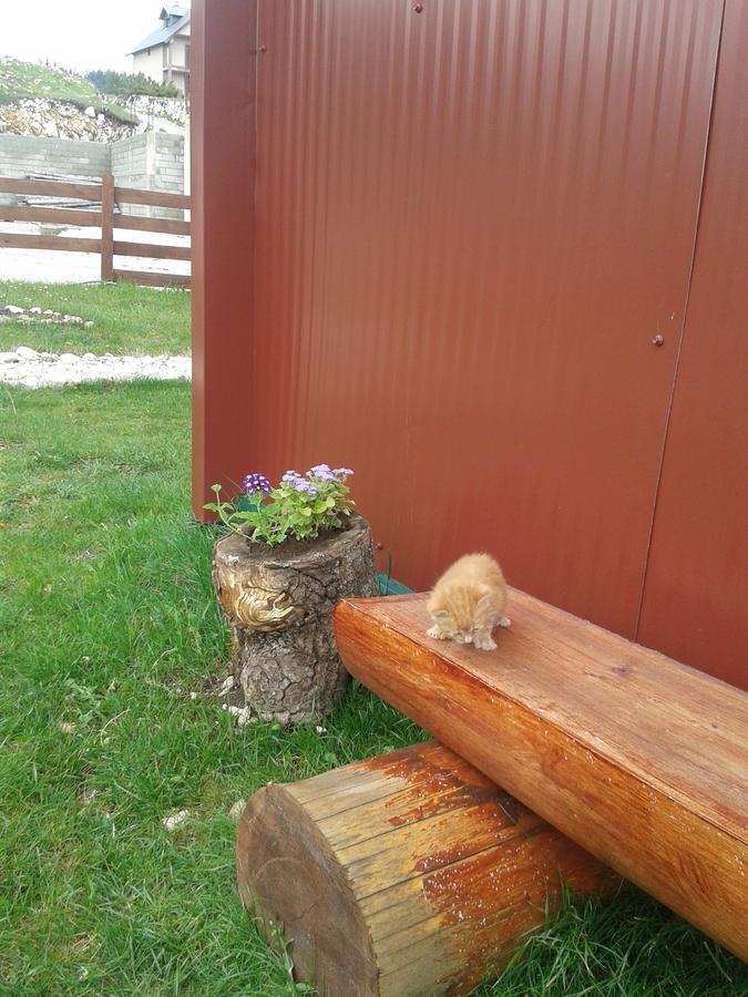 Boskovica Brvnare Guest House Žabljak Eksteriør bilde