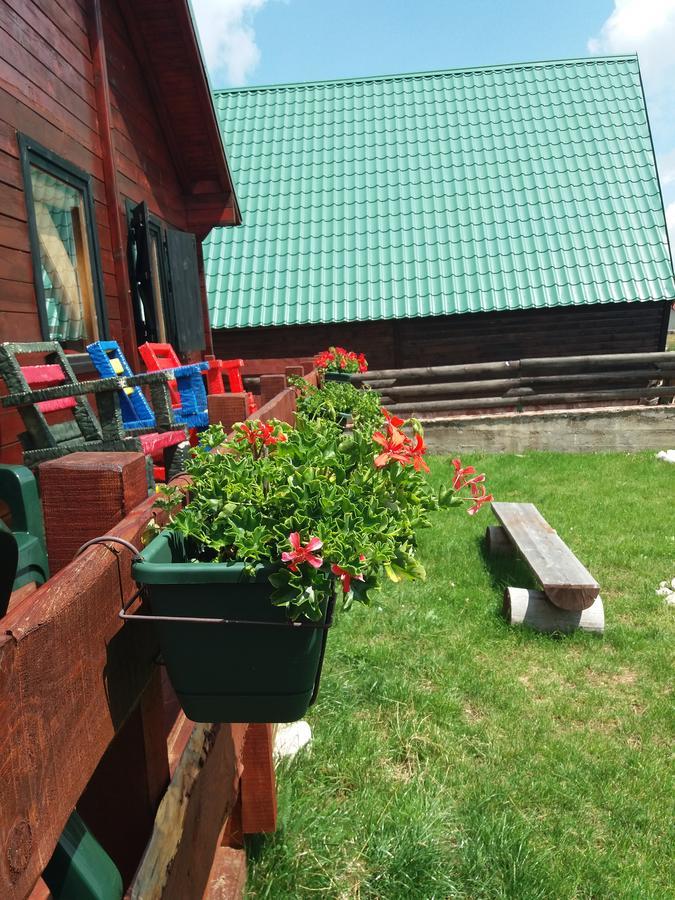 Boskovica Brvnare Guest House Žabljak Eksteriør bilde