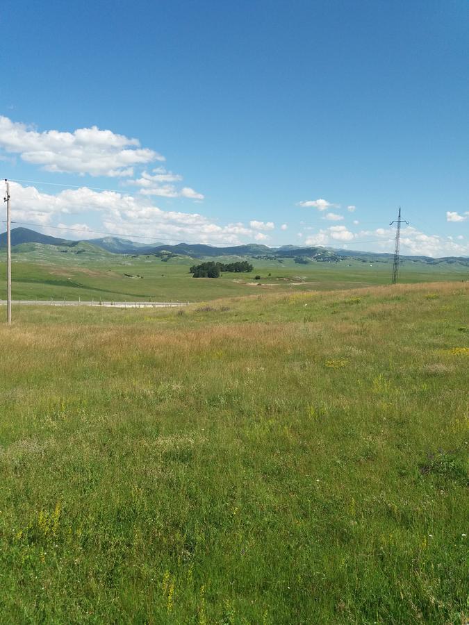 Boskovica Brvnare Guest House Žabljak Eksteriør bilde